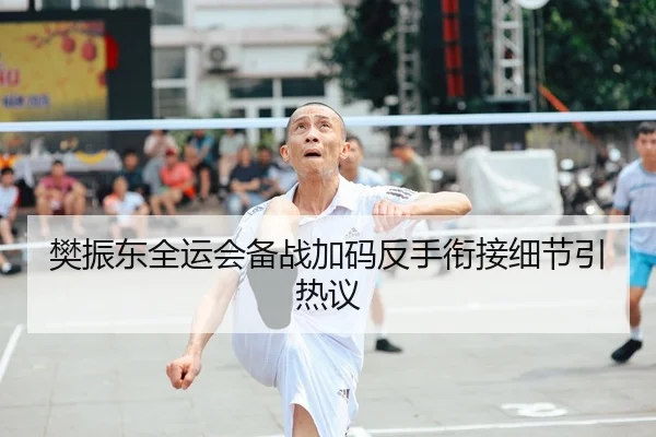 樊振东全运会备战加码反手衔接细节引热议